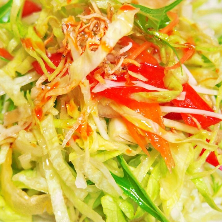【白ワインに合う】水菜とじゃこのピリ辛な野菜サラダ